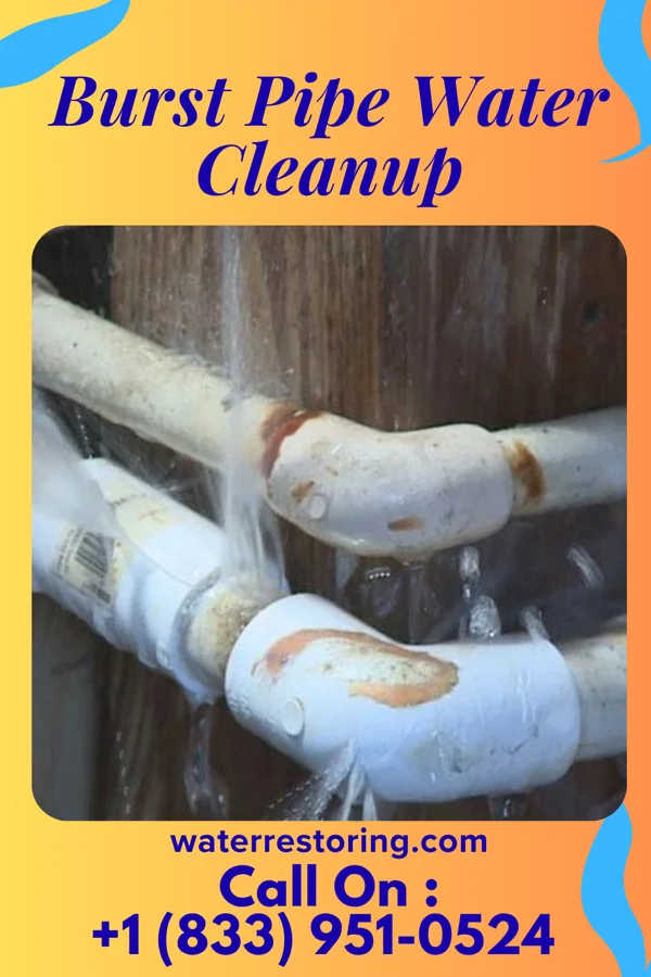 Burst Pipe Water Cleanup in New Schaefferstown, PA