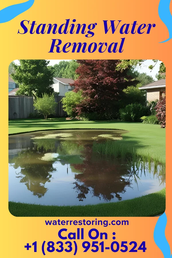 Standing Water Removal in New Schaefferstown, PA